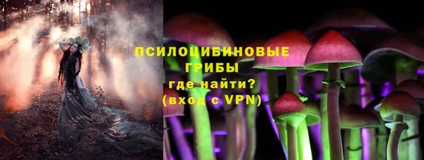 хмурый Верхний Тагил