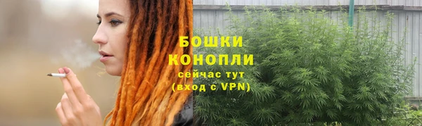 хмурый Верхний Тагил