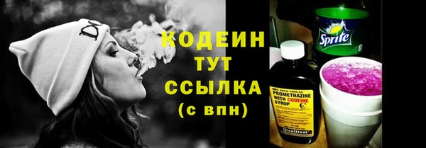хмурый Верхний Тагил