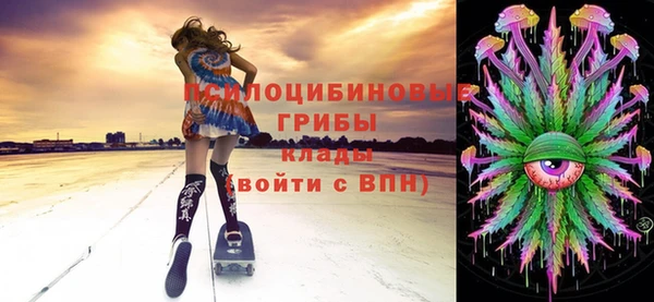 хмурый Верхний Тагил